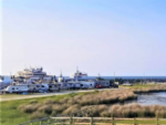 Waterfront Sites at Cedar Island - thumbnail